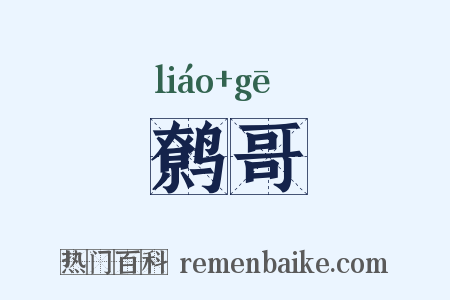 鹩哥是什么意思的图片